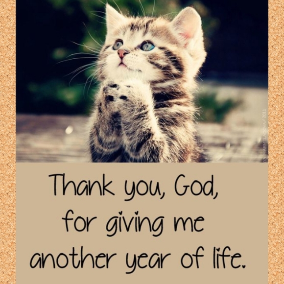 Meet your Posher, MissCrabbyPants - Picture 5 of 8